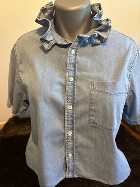 Goodfellow & Co Light Blue Ruffle Collar Shirt